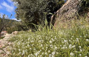 La bella vista - Foto 24