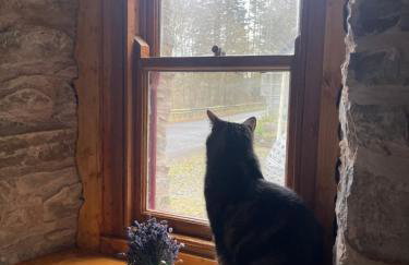 Yairbrig Cottage - Foto 42