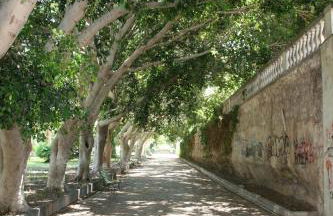 A Casa di Antonella - Foto 77