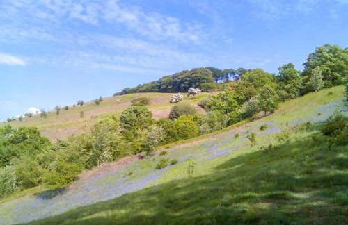 Squirrel Lodge - Foto 19