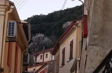 Village House - Foto 17