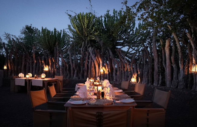 Euphorbia Mashatu - Foto 37