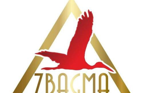 GOSPODARSTWO TURYSTYCZNE w OSINKACH - Foto 33