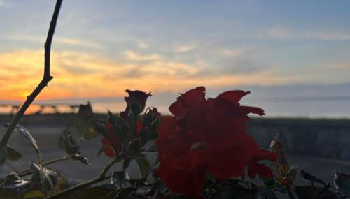 Gaestehaus Nuke - Foto 3