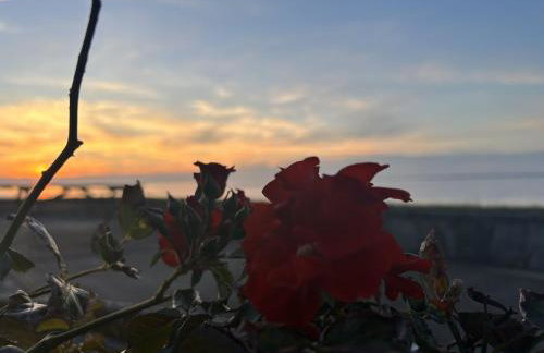 Gaestehaus Nuke - Foto 3