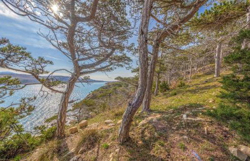 Gorgeous Apartment In Novalja - Photo 7