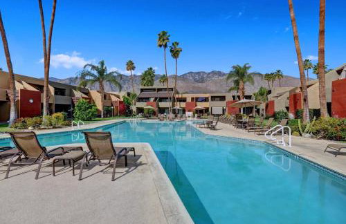 Smoketree Original - Foto 44