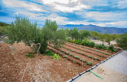 OPG Villa Meri - Foto 47