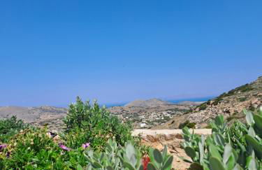 Villa Adeiata - Photo 43