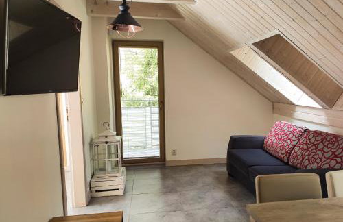 Mazursko - komfortowe apartamenty nad jeziorem, sauna, kominki na parterze - Foto 38