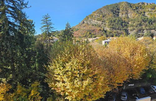 Idéal long séjour, Souvenirs de Provence,T2 classé, vue sur les montagnes, toutes commodités! - Foto 36