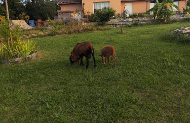 Chalet confort avec petit dejeuner - Foto 29