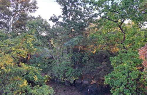 casa con bosco e vista mare - Foto 40
