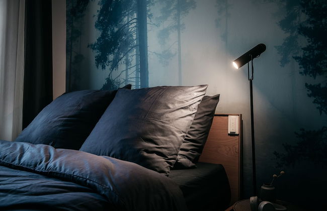 URBN Dreams - Misty Forest - Foto 4