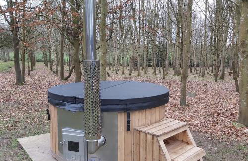 Woodland dome - Foto 10