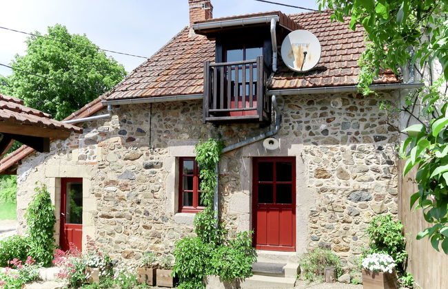 Marguerite - Photo 17