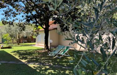 Residence Villa Eva - Foto 31