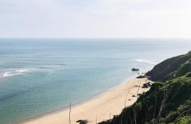 Cosy Beachside Cottage 100m from Challaborough Beach - Foto 40