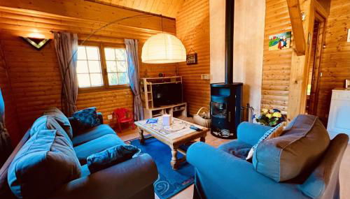 BEAUTIFUL CHALET in nature near Gerardmer! - Foto 1