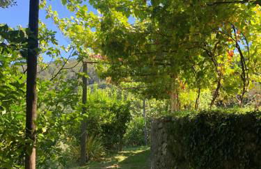 Sobreiro Valley - Casa Firmino - Foto 39