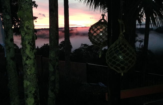 Byron Hinterland Villas - Photo 8