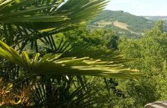 La casa di Mia - Photo 24