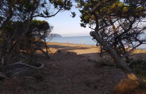 Appartamento Stazione di Populonia - Baratti - Foto 32