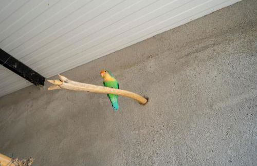 Reul Alto Cortijos Rurales - Foto 56