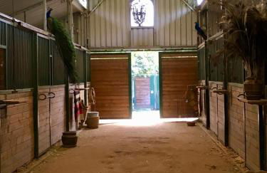 Wine Country Private Working Sheep Farm; Rustic Elegance - Foto 17