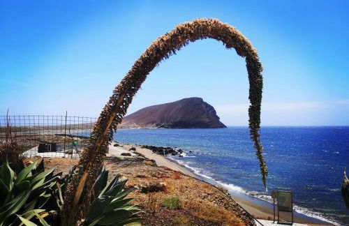 Casita Canaria - Foto 12