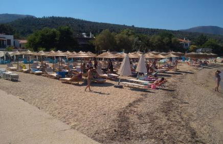 Sunray Separate Villa - Photo 39