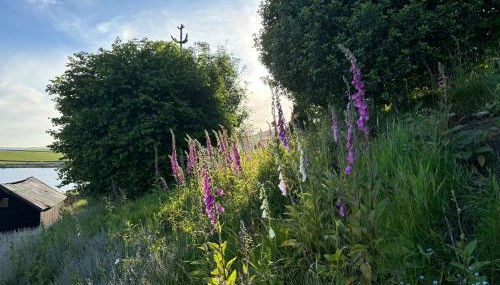 Luxury Retreat - Foto 4, Garden view