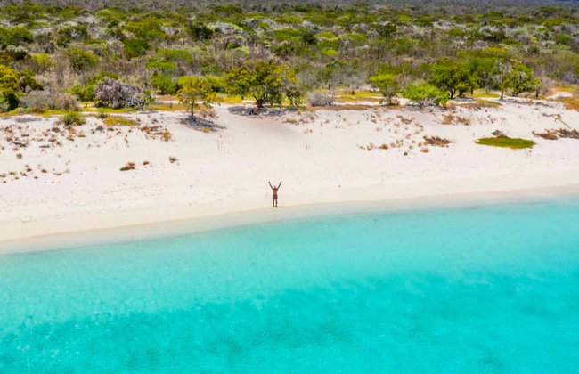 Bahía de las Águilas Speedboat Tour - Photo 7