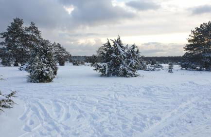 Ferienwohnung Ram - Photo 42