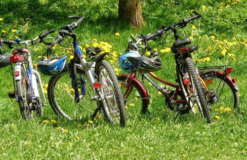 Wzgórze w Cieniu Lasu - Photo 45