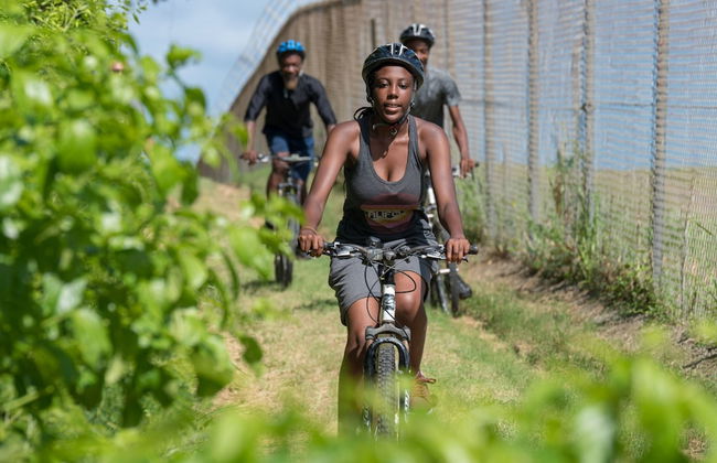 Eco Park Inn - Foto 19