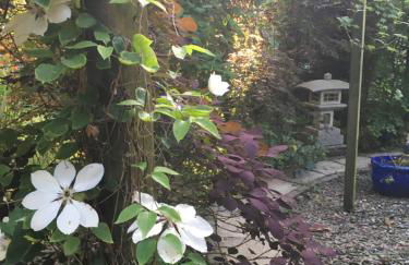 The Lavender Room - Photo 10