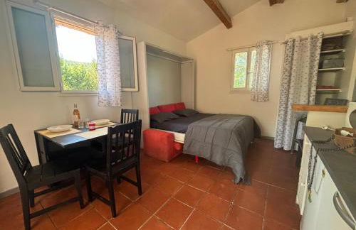 Studio terrasse - Foto 19