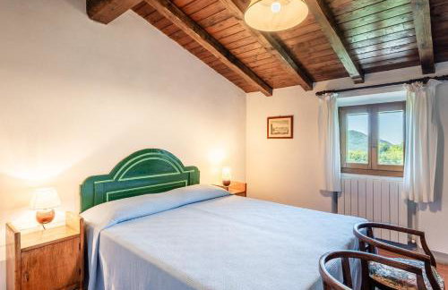 Fattoria di Pietrabuona - Foto 47