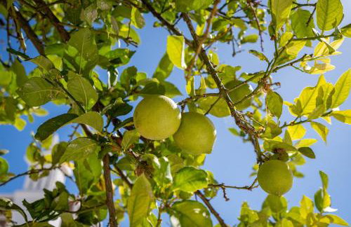 Casa Cisterna - Foto 6