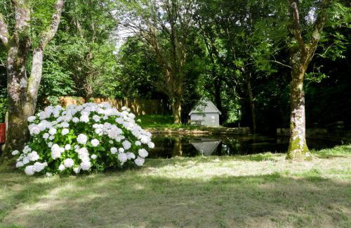 The Cottage at Wylan Hall - Foto 11