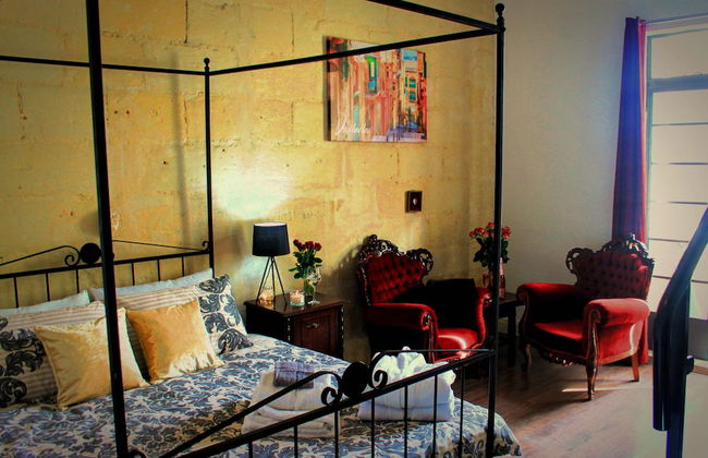 Maltese Maltese - Foto 54