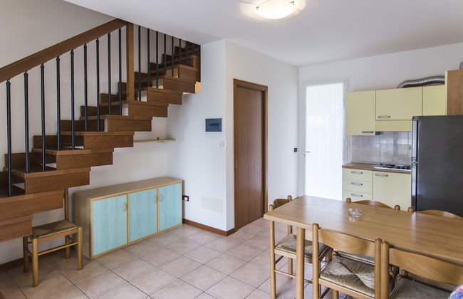 Calycanthus - Foto 25