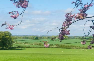 Hazells Lodge Farm Stay Sleeps 2 Undercover Hottub and Pool Table - Foto 12