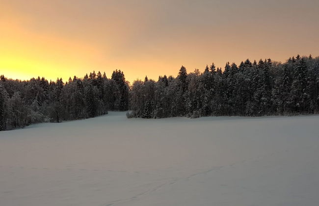 Appartement - Les Poingnats - Foto 11