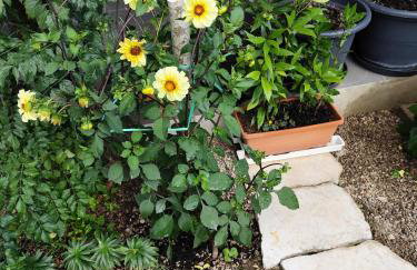 Zeleni raj - Foto 10