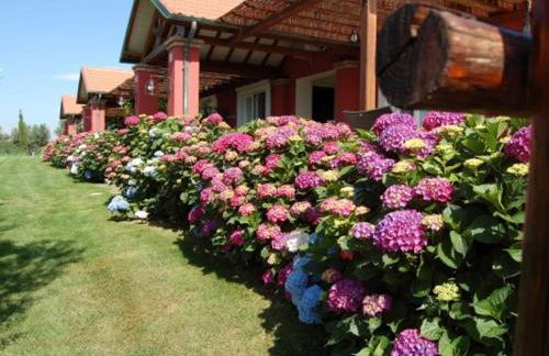 La Pecora Ladra Appartamenti - Foto 29