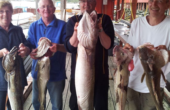 Sotra Rorbusenter - Foto 63