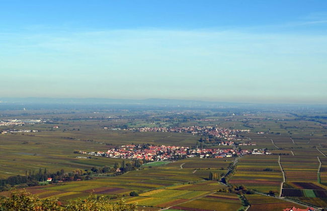 Palatinate Forest Comfortable Holiday Residence - Photo 14