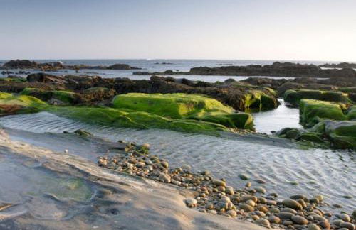 Family Beach House in Amorosa, Northern Portugal - Foto 12